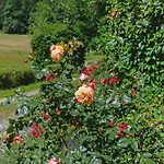 Gutshof An Der Alten Linde
