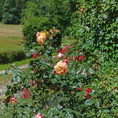 Gutshof An Der Alten Linde *