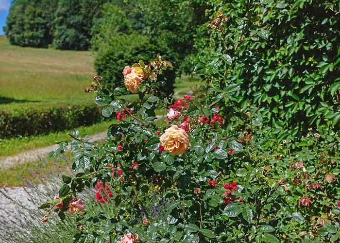 Gutshof An Der Alten Linde *